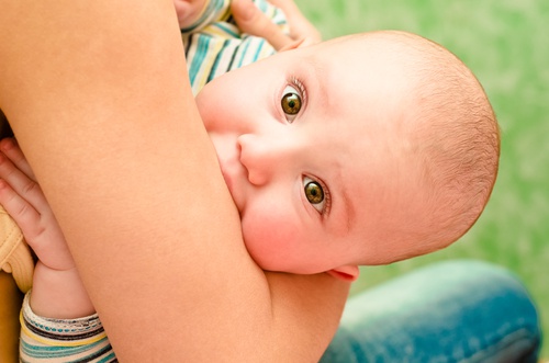 shutterstock_160699241-500x331