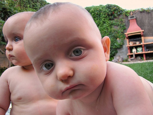 Diferença entre gêmeos idênticos e fraternais