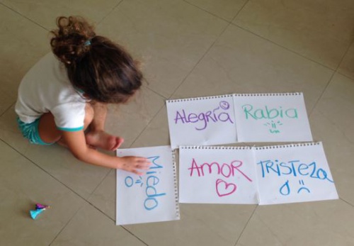 A natureza da comunicação emocional