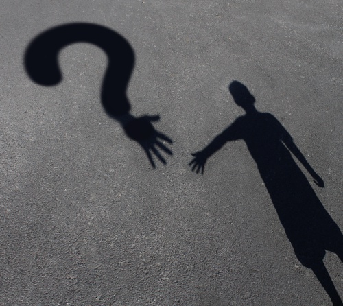 shutterstock_2425498721-500x446