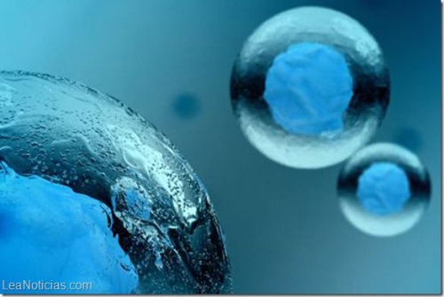 2ce2d843fe18380127ab31dd17c4842c-500x335