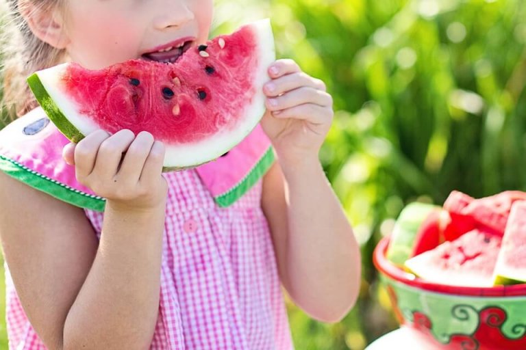 fatos sobre nutrição