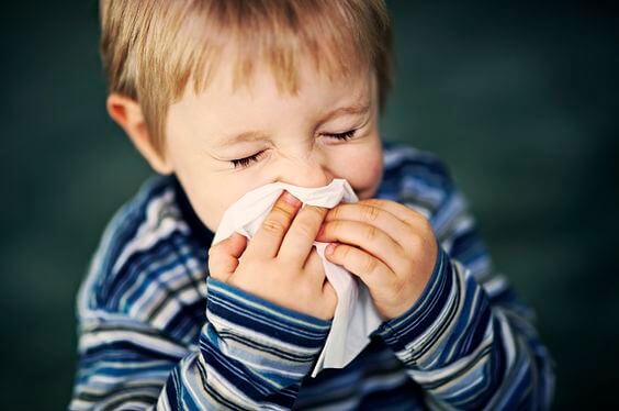 Um lar livre de alergias para seu filho