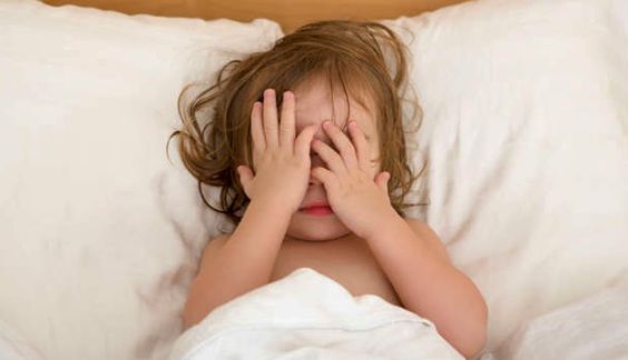 bebês também sonham