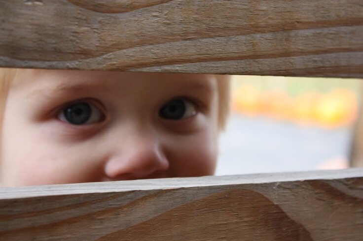 apaixonados por seus filhos