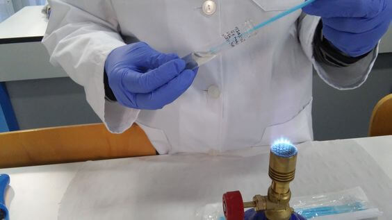 estudo microbiológico