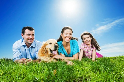 técnica do sanduíche