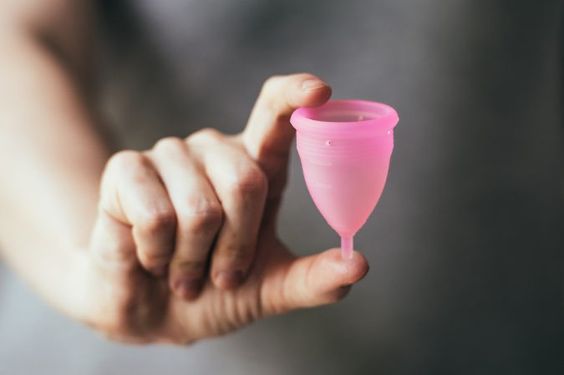 coletor menstrual