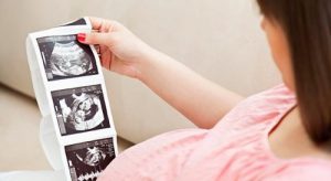 O que é a superfetação?