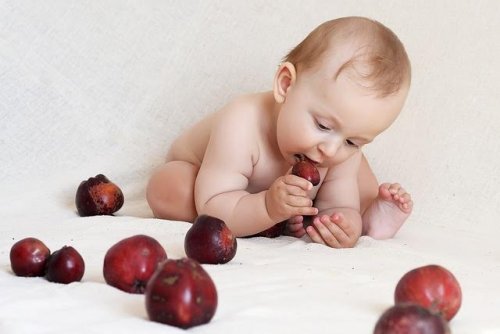 7 erros frequentes na alimentação infantil