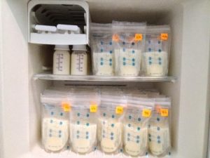 Segredos para criar o seu banco de leite