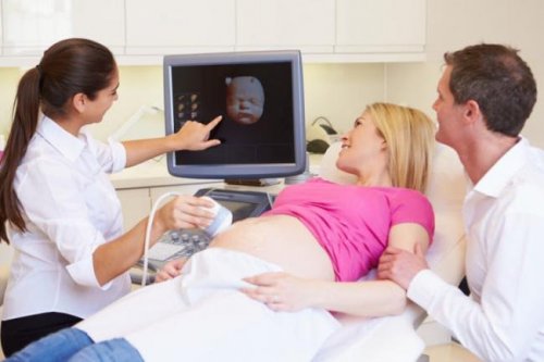 Funções das ecografias durante a gravidez