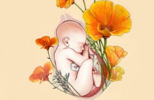 Eu sou o seu bebê. Você mamãe é o meu habitat, meu alimento, meu tudo...