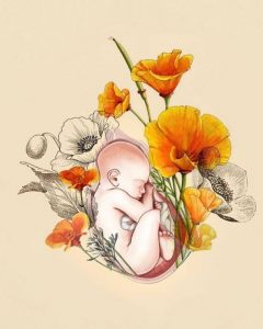 Te amo desde a primeira batida de coração