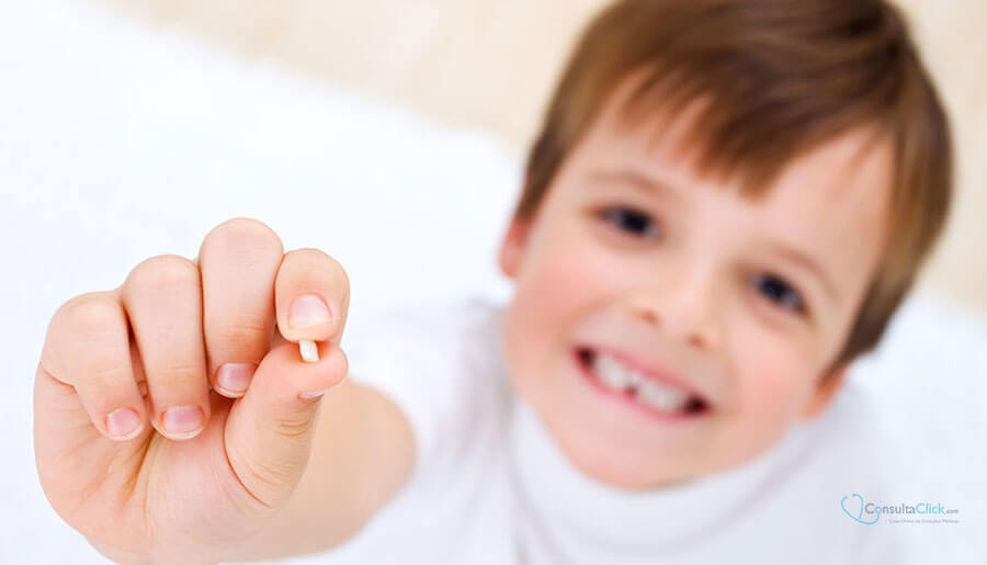 dentes do bebê