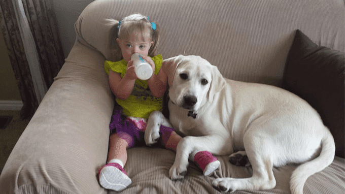 A história de Sadie: a menina com síndrome de Down e o seu cão guardião