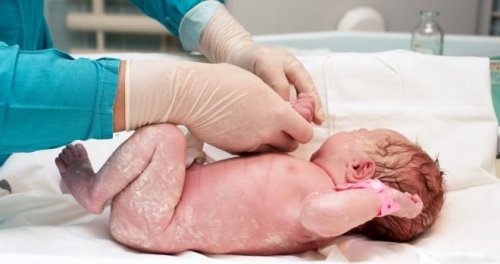 O que é a técnica da semeadura vaginal?