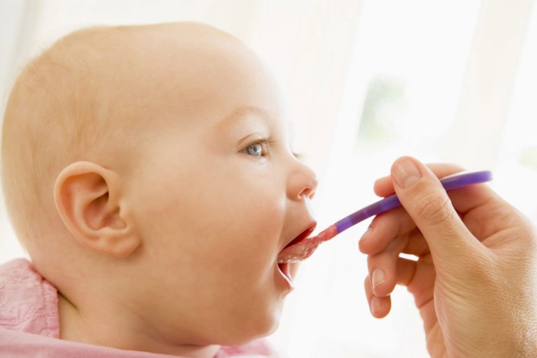 bebê sendo alimentado com alimentos triturados