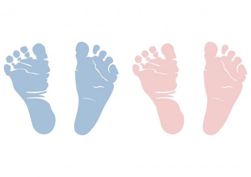 pés de bebês azuis e rosas