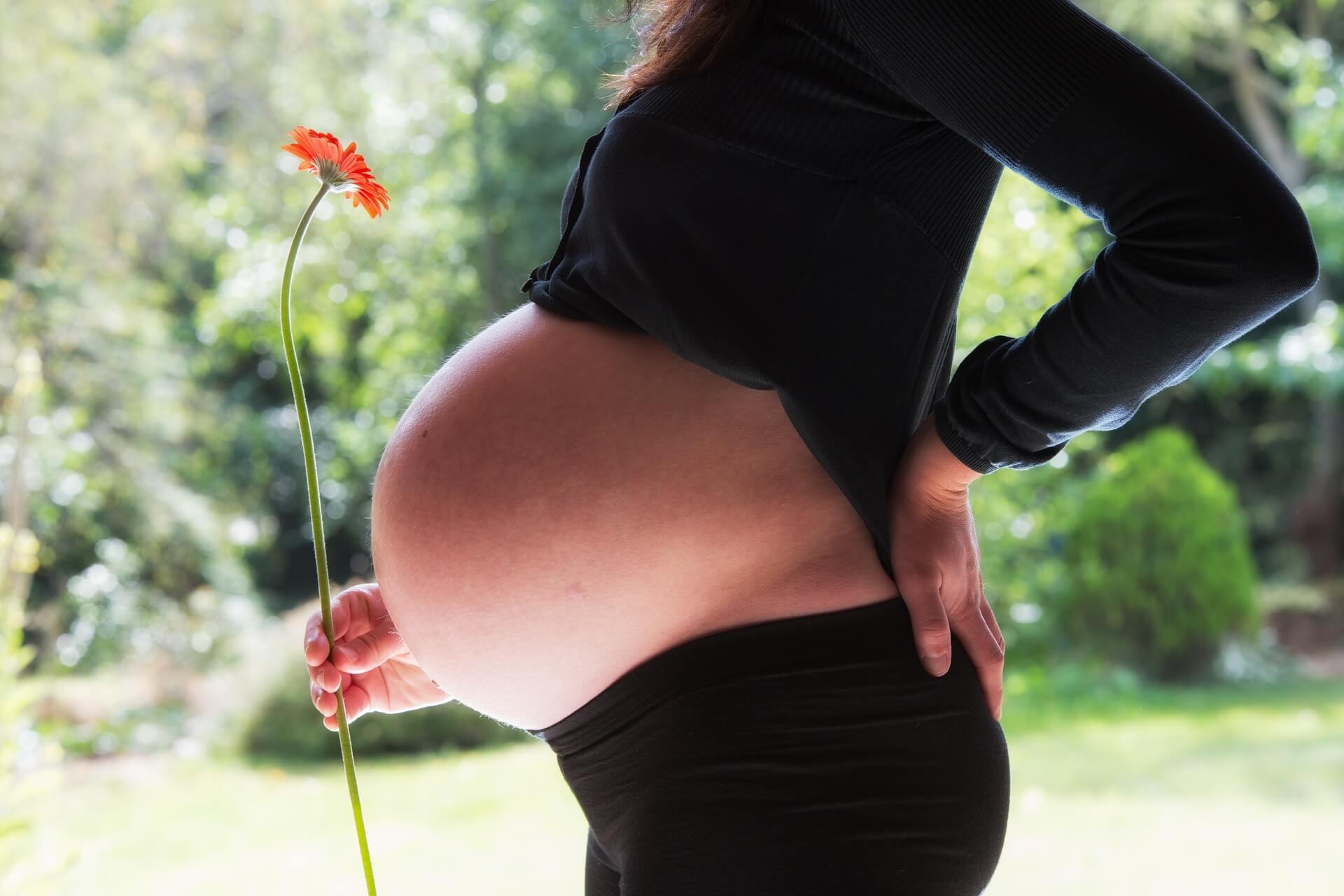 mulher grávida segurando uma flor perto da sua barriga