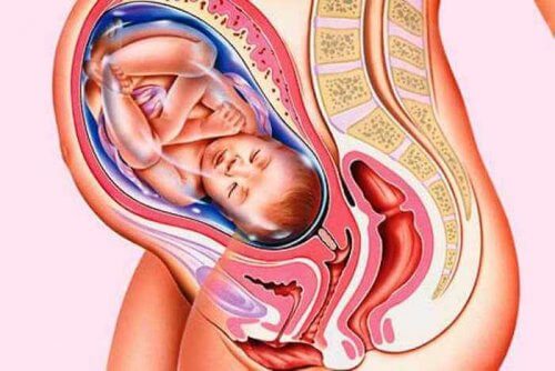 bebê na barriga da mãe, sintomas do pre-parto