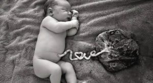 O que é um parto lótus?