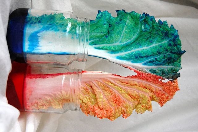 experiências para crianças