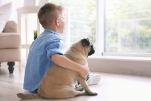 Os melhores cachorros pequenos para crianças