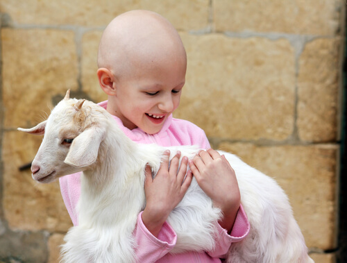Leucemia infantil: o que é e como enfrentar Leucemia infantil: o que é e como enfrentar