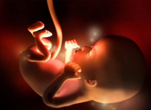 A 12ª semana da gravidez