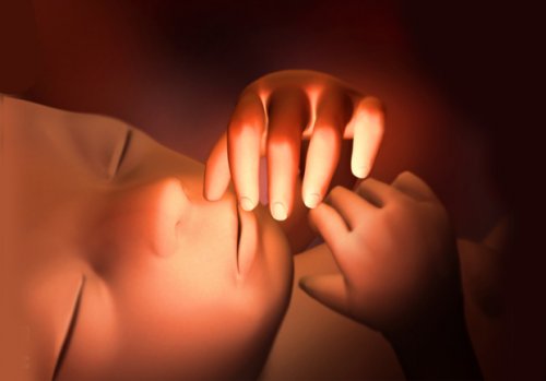 25ª semana de gravidez