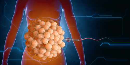 fecundação do óvulo