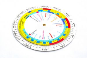 Gestograma: o que é e como funciona?