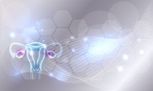 Tudo sobre o útero invertido