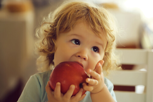 Alimentos para prevenir a anemia