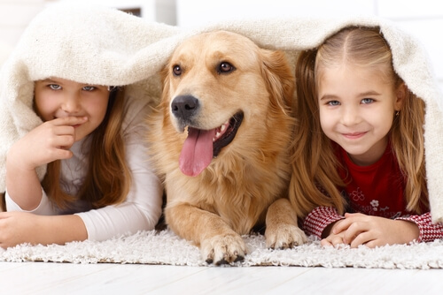 Por que as crianças gostam tanto de animais?