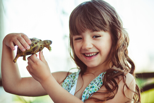 Menina sorridente segurando uma tartaruga
