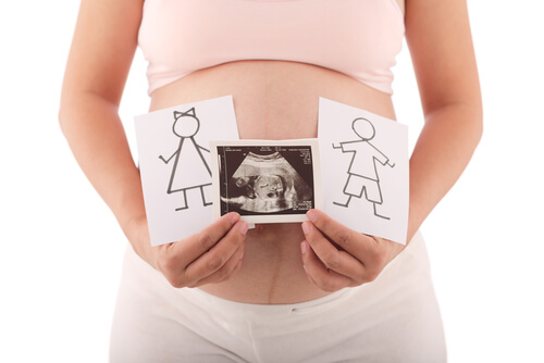 9 ideias para anunciar se o bebê é menino ou menina 9 ideias para anunciar se o bebê é menino ou menina