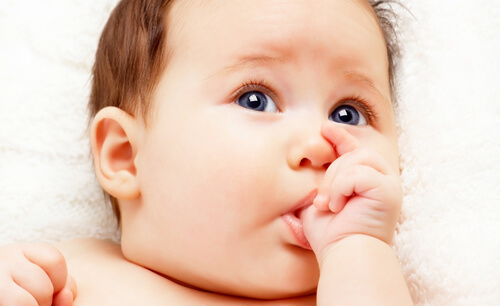 O reflexo de sucção é essencial para a sobrevivência do bebê