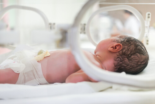 bebê prematuro incubado