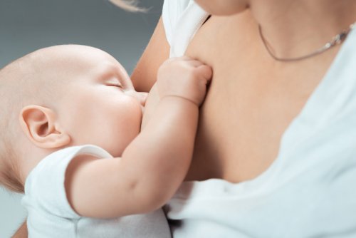 o leite materno é a principal nutrição no primeiro ano