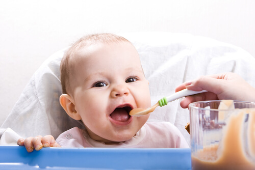 Receitas saudáveis para bebês de 9 a 12 meses: novas texturas