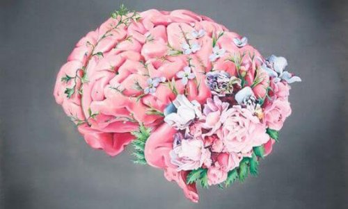 Cérebro, flores
