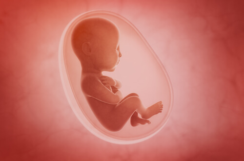 feto na bolsa amniótica
