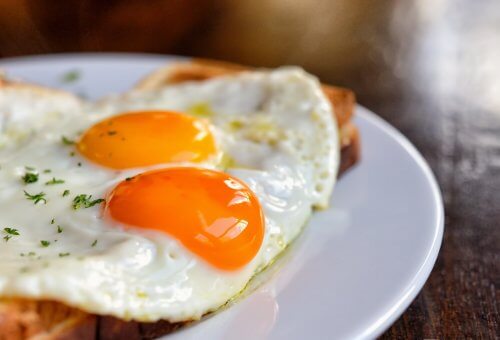 receitas ricas em proteína para o primeiro trimestre da gravidez