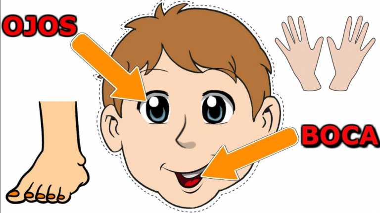 Criação de sua imagem corporal de forma positiva