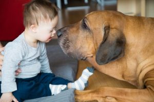 Como os animais de terapia podem ajudar as crianças?