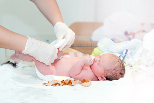 Quando se deve cortar o cordão umbilical após o nascimento?