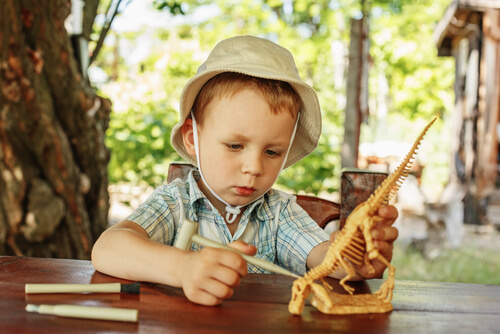 Meu filho ama os dinossauros!