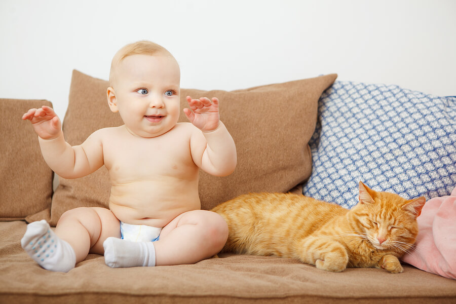 A convivência entre recém-nascidos e animais é positiva? A convivência entre recém-nascidos e animais é positiva?
